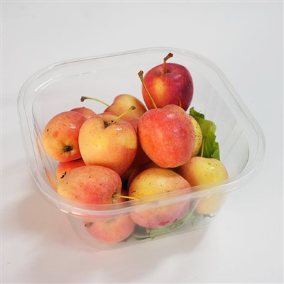 Gegnsætt ferningur ávaxtakassi án loks